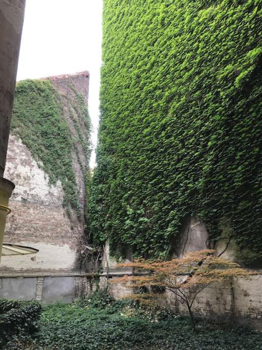 Heart Garden Comfy Appartement